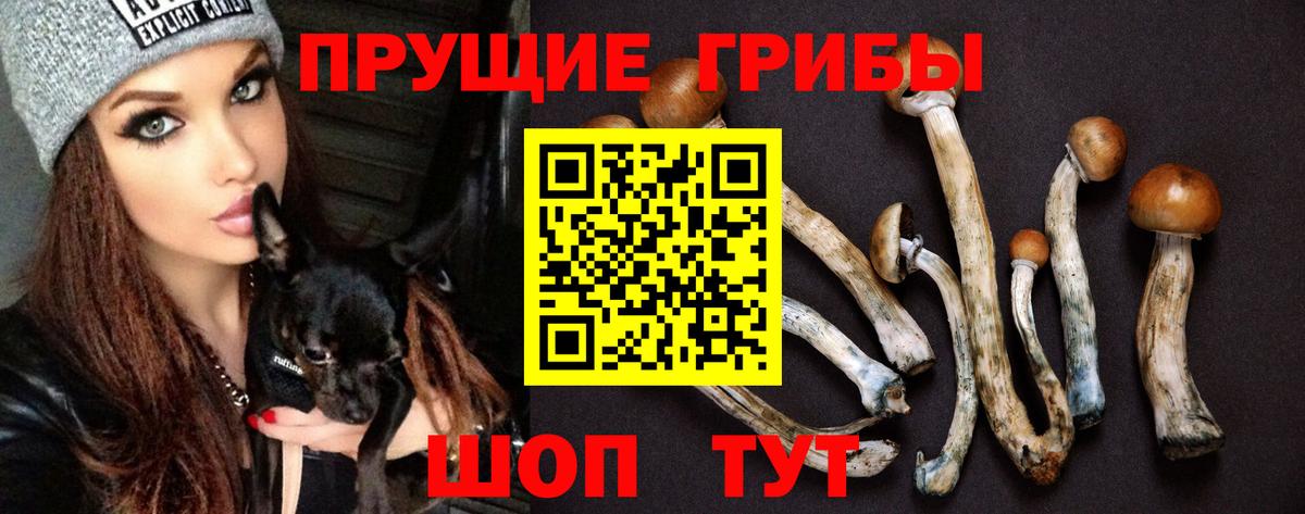 Псилоцибиновые грибы ЛСД  Вход с VPN  наркошоп  Якутск 